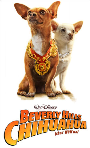 cool fun wallpaper. get YOUR desktop beverly hills chihuahua the movie wallpaper here!