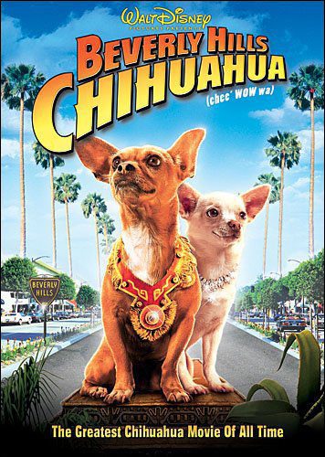 beverly hills chihuahua now available on dvd