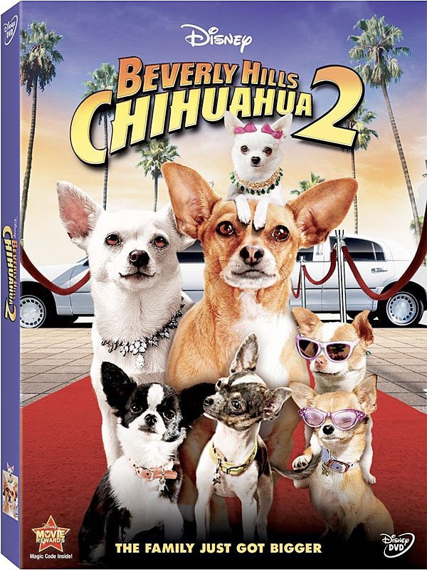 click image to order your copy of beverly hills chihuahua 2 on dvd!