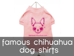 famous chihuahua dog shirt