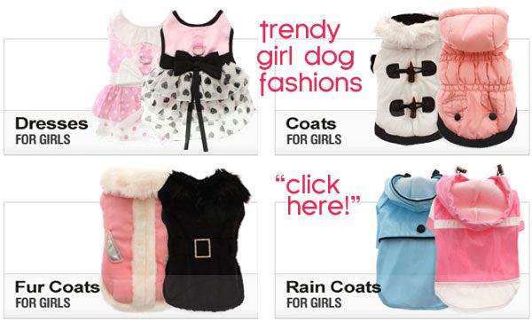 girl dog fashions