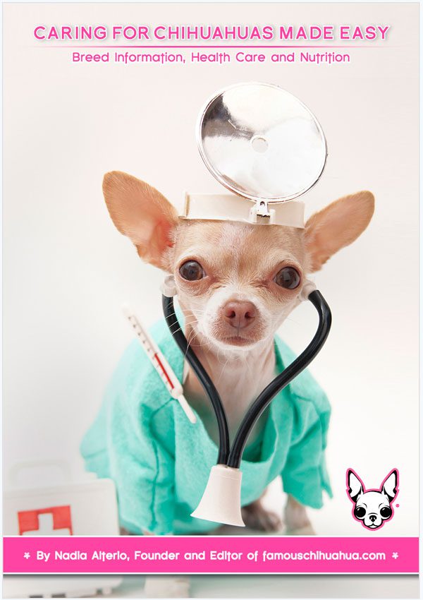 caring for chihuahuas made easy: breed information, health care and nutrition book