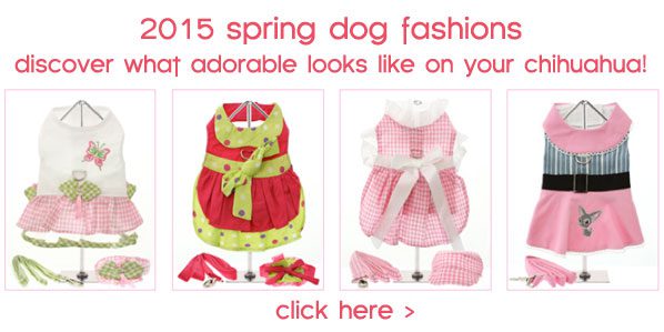2015 spring dog fashions