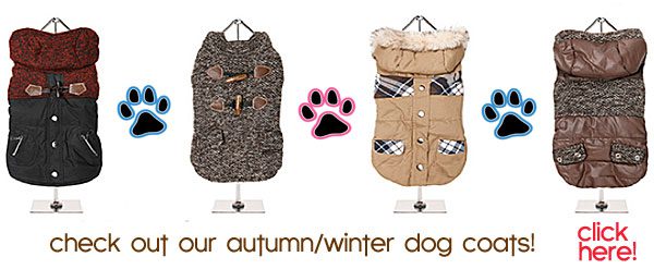 fall and winter dog coats