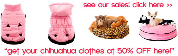 sale chihuahua clothes