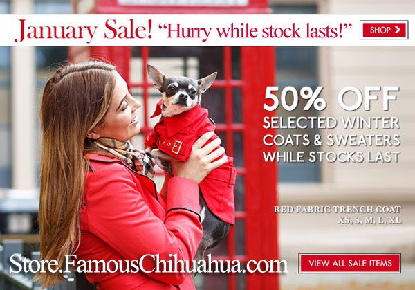 50% OFF chihuahua coats sweaters collars