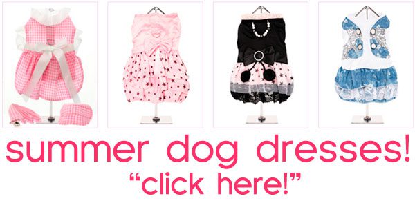 summer dog dresses