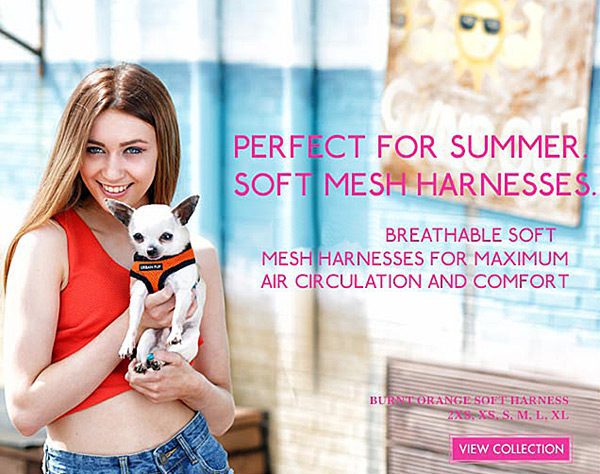 soft mesh dog harnesses