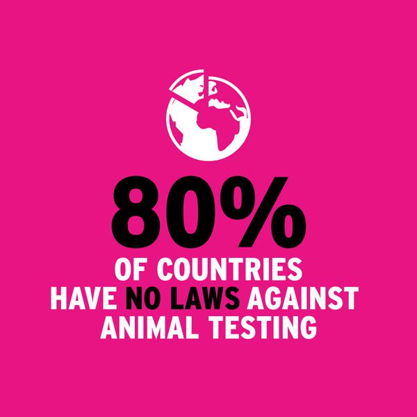 ban animal testing! sign the petition!