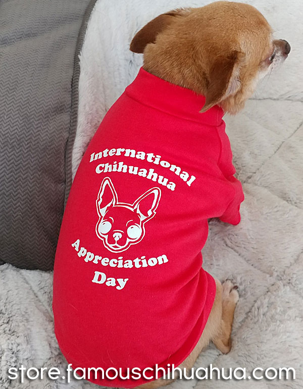 international chihuahua appreciation day dog shirt