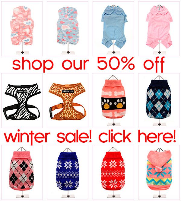 winter sale on chihuahua clothes and accessories
