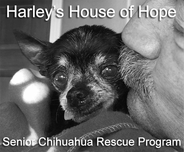 harley's house of hope, senior rescue program