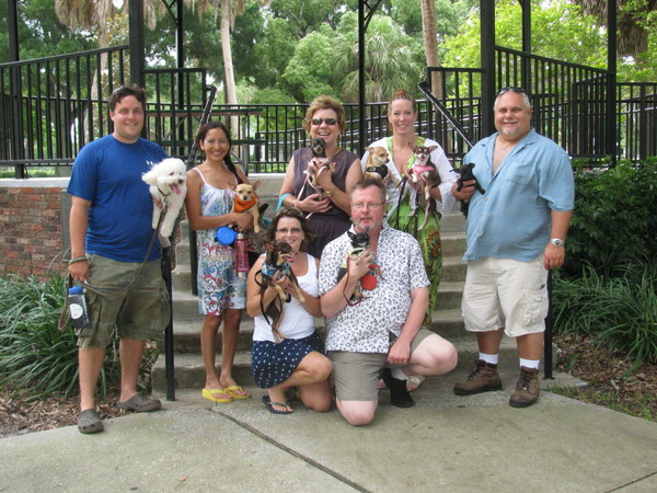 Chihuahuas-of-the-Tampa-Bay-Area