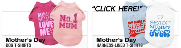 mothers day banner