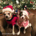 mia izzy christmaschis