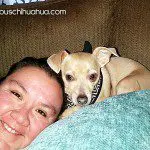 iris felix chihuahua selfie