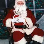 gizmo christmas chihuahua