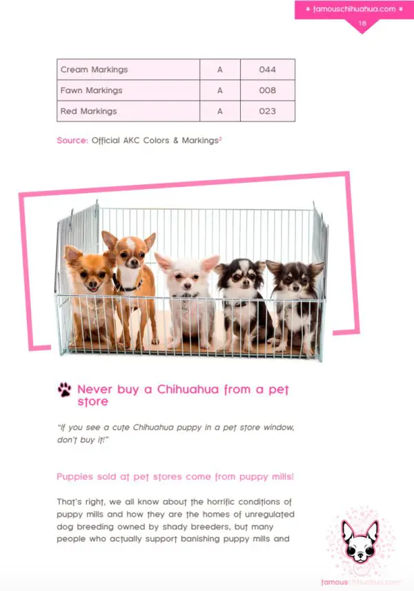 Famous Chihuahua book sample page 4