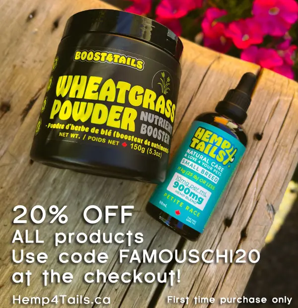 20% OFF all products at Hemp4Tails! Click Here! 20% OFF all products at Hemp4Tails