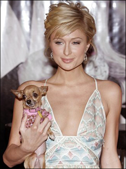 parishilton-tinkerbell.jpeg