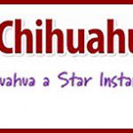 makeyourchifamous