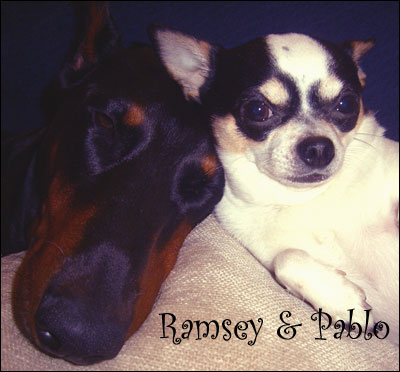 ramsey and pablo, companions for life