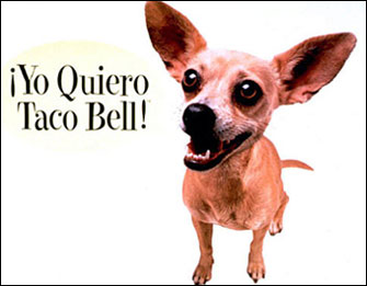 the taco bell chihuahua