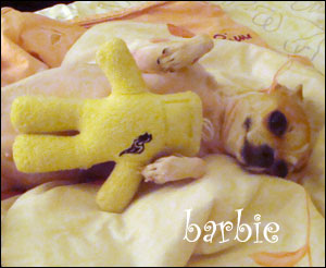 barbie the chihuahua