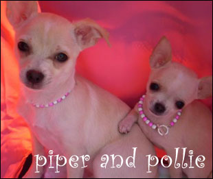 piper and pollie