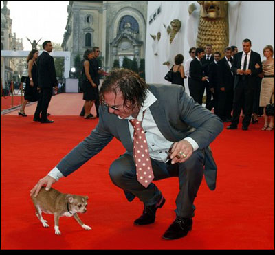 mickey rourke on the red carpet with his chihuahua loki at the venice film festival