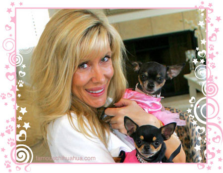 minx and her famous chihuahuas, tinkerbell and paris hilton