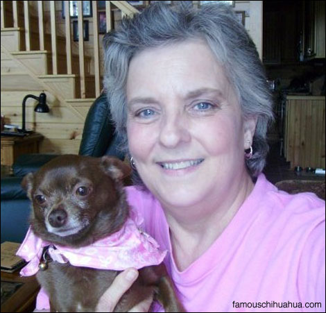 lucy the chihuahua with her mom linda, a breast cancer survivor