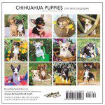 chihuahua puppies calendar