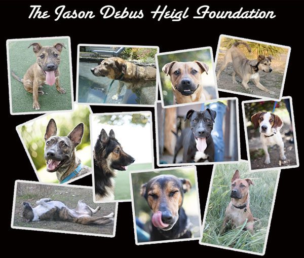 jason debus heigl foundation