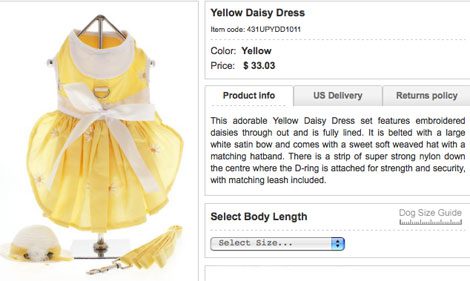 yellow chihuahua dress