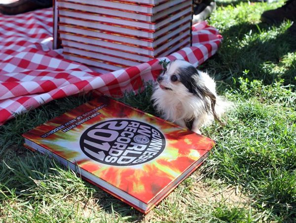 tiny boo-boo poses pretty next to the 2011 world guinness book she appears in