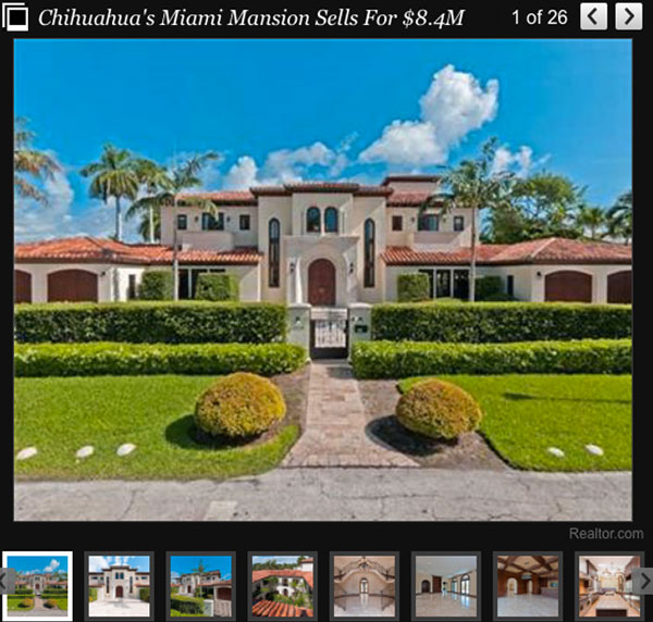 chihuahua's miami mansion sells for $8.4 million!