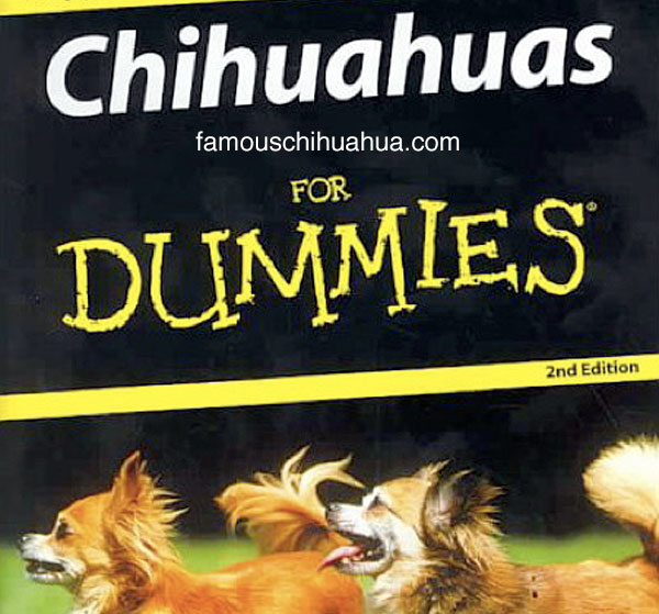 shop for chihuahua books! learn how to care for your chihuahua!