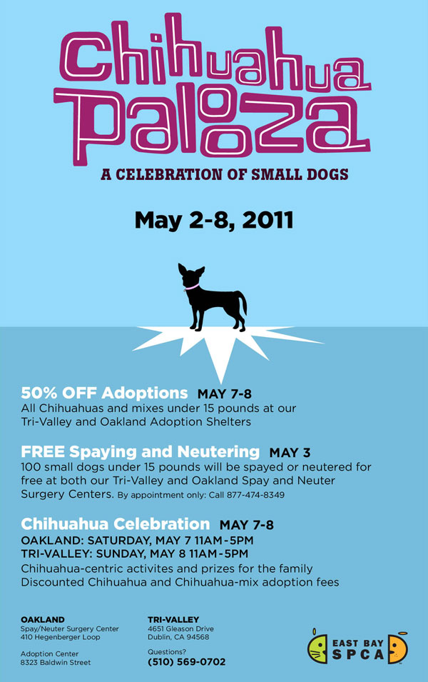 come and join in on the chihuahua palooza celebrations!