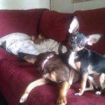 100MEDIA36IMAG0358 2