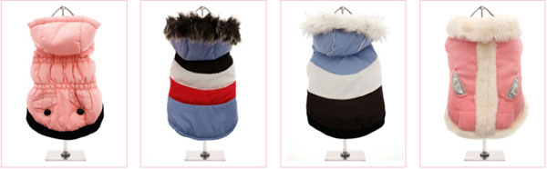 shop for dog coats at clearance prices!