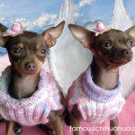 sookie and belle