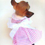 jolie dress