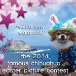 2014easter contest
