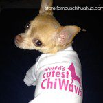 penny chihuahua shirt