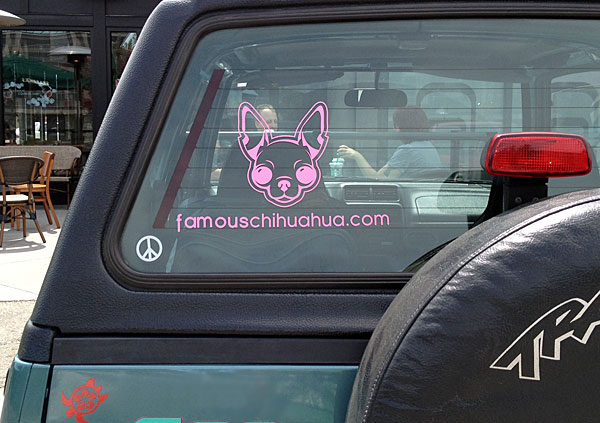 famous chihuahua car decal