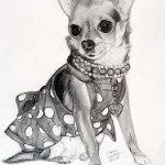 chihuahua sitting pretty