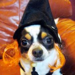 oreo the witch!