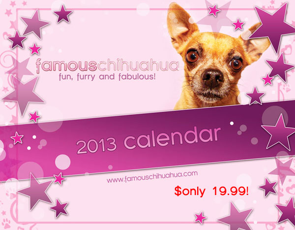 preview the famous chihuahua calendar