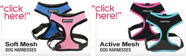 trachea friendly dog harnesses